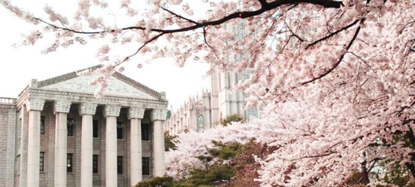 大学本科毕业生